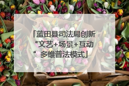 蓝田县司法局创新“文艺+场景+互动”多维普法模式